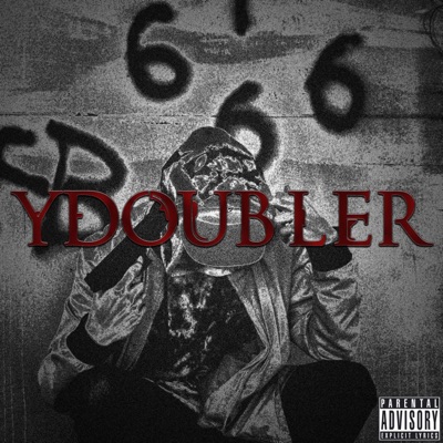 YDoubleR