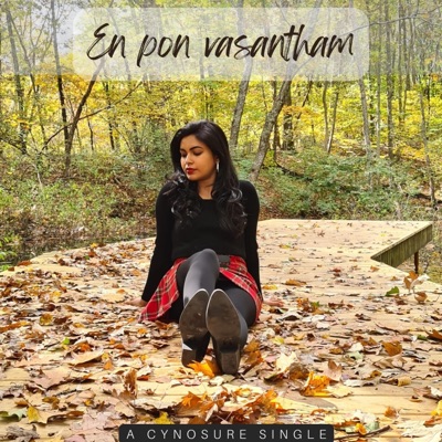 Neethaan En Ponvasantham - Single