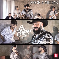 Amor A Medias