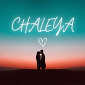 Chaleya (Remix) artwork