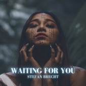 Waiting for You (Extended Mix) artwork