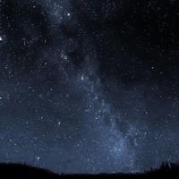 In Loving Memory (feat. Liu) - Single - Music Art Lti