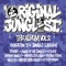Everyday Junglist - Marvellous Cain lyrics