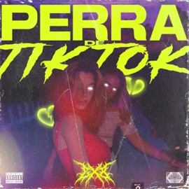 Perra de Tik Tok CXB