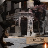 Pedacitos artwork