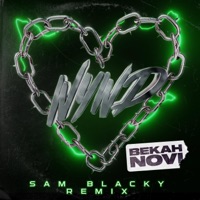 WYWD (Extended Mix) [Extended Mix] - Single - Bekah Novi & Sam Blacky