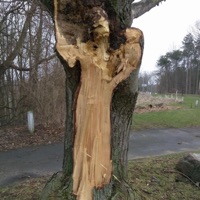 Rain (feat. Gary Malaber on Drums) - Single - Joe Brucato