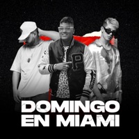 Domingo En Miami - Single - Sann Menna & El Viti Mentende