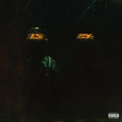 Not Impressed - Single