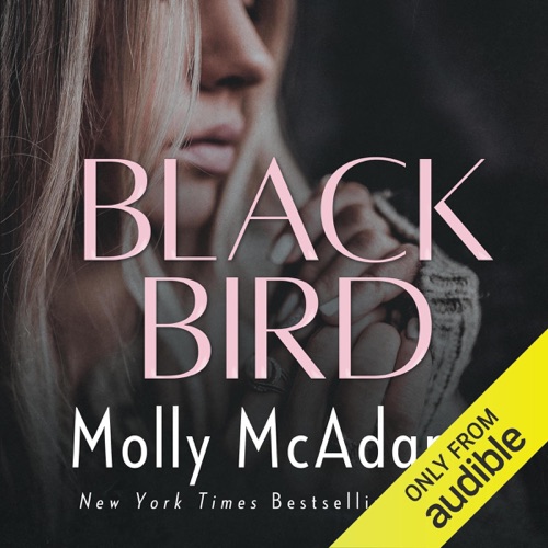 Blackbird: Redemption, Volume 1 (Unabridged) cover
