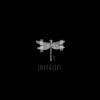 Love & Lies (feat. Anti da menace & 952 Kai) - Single