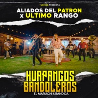 Huapangos Bandoleros (El Mariachi & Bandida) - Single - Aliados del Patron & Ultimo Rango