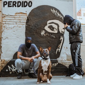 Perdido