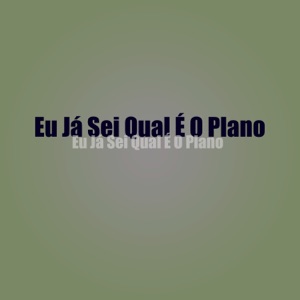 Eu Ja Sei Qual É o Plano (feat. Mcs Nando and Luanzinho)