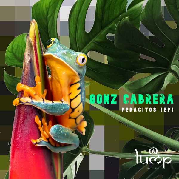 Gonz Cabrera - Single