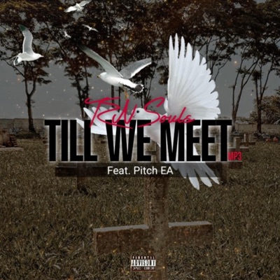 Till We Meet (feat. Pitch EA) - Single
