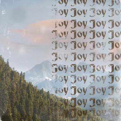 Joy (feat. 99 Apex) - Single