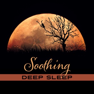 Soothing Deep Sleep: The Best Music Collection, Relaxation, Natural Cure for Insomnia, Relaxing Piano to Fall Asleep