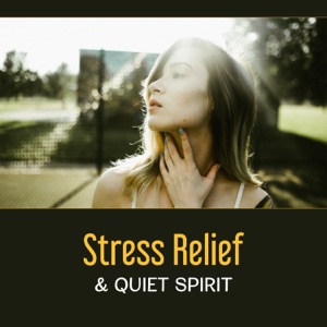 Stress Relief & Quiet Spirit – Positive Thinking, Good Aura, Meditation Practice for Peace in Mind & Soul, Anxiety Disorder, Relaxation, Path to Good Life