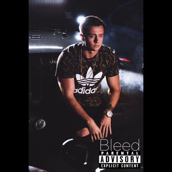 Cover artwork for Bleed