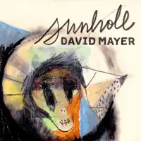 Sunhole — David Mayer