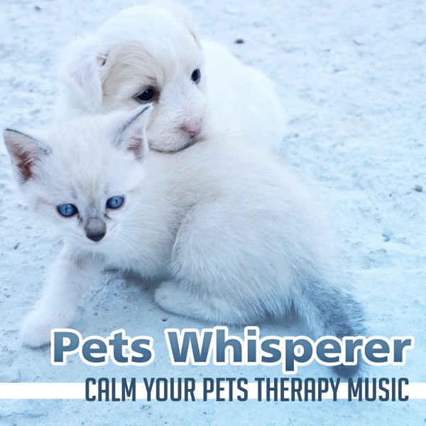 Pets Whisperer: Calm Your Pets Therapy Music, Comfort Anti Stress Cats & Dogs, Train Puppils