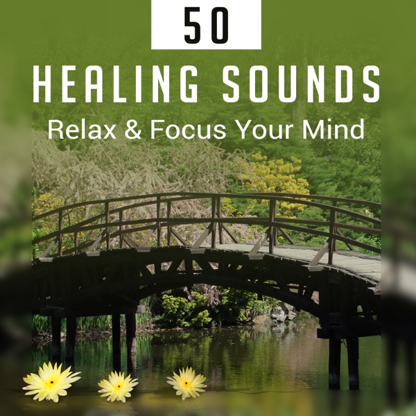 50 Healing Sounds: Relax & Focus Your Mind - Zen Music, Serenity Nature, Mindful New Age, Yoga Meditation, Harmony and Calmness