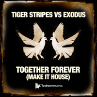 Together Forever (Make It House) - EP - Tiger Stripes & Exodus (1982)