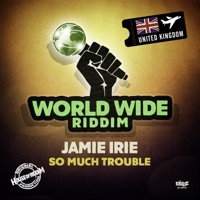 So Much Trouble - Single - Jamie Irie