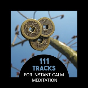 111 Tracks for Instant Calm Meditation – Personal Well-Being, Zen Evolution Healing, Peace Around You, Awaken Intuition and Keep Calm