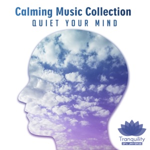 Calming Music Collection: Quiet Your Mind After Long Day, Relaxation Meditation