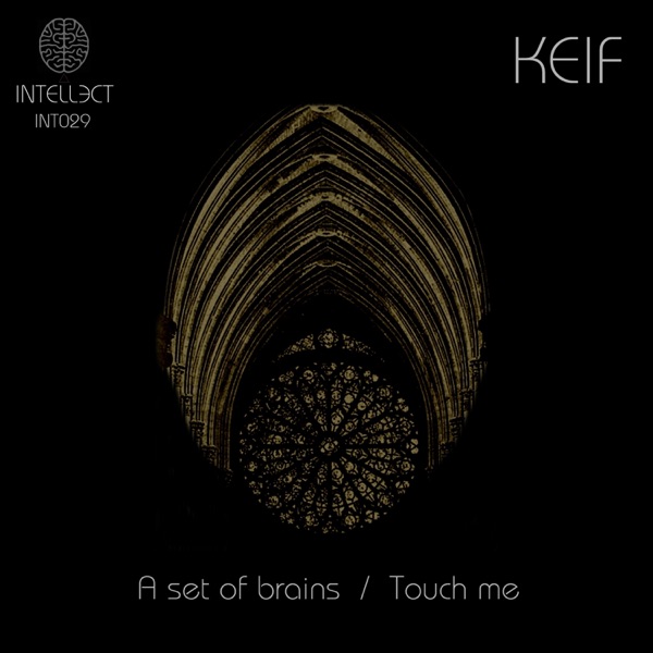 A Set of Brains - Single