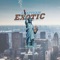 Exotic (feat. Armani DePaul) - Leafteam lyrics