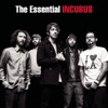 Incubus