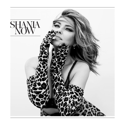 Shania Twain  Now