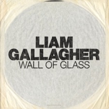 Wall of Glass artwork