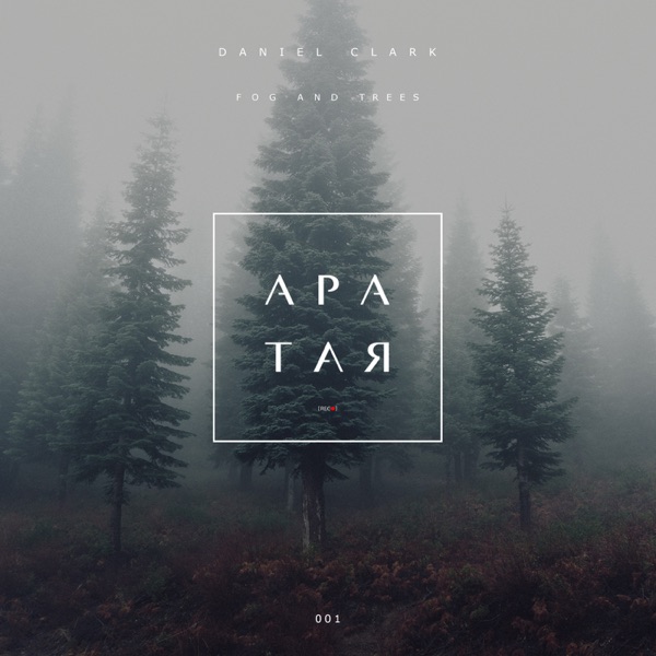 Fog and Trees - Single