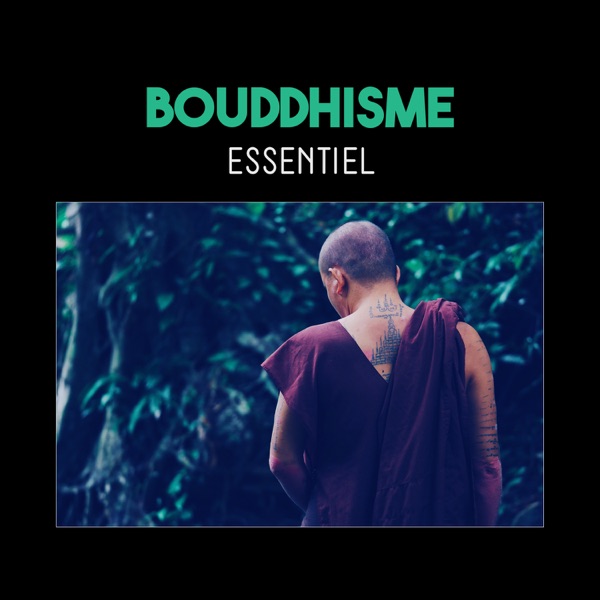 Bouddhisme essentiel - Genèse de la méditation, la contemplation de l'esprit, vie sans stress, musique enchanteur pour purification