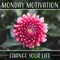 Live Your Life - Relaxing Distraction Therapy Zone lyrics