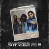 Not Alike (feat. House Party & Monty) - Single