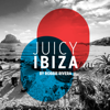 Juicy Beach - Ibiza 2017 (Selected by Robbie Rivera) - Robbie Rivera new Single