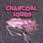 Charcoal Squids - Peppermint Spiders