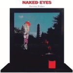 Naked Eyes - Voices in My Head
