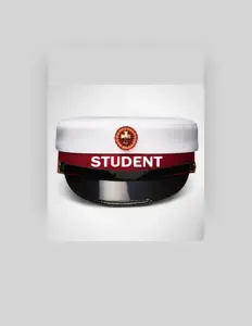 Studentenを聴いたり、ミュージックビデオを鑑賞したり、経歴やツアー日程などを確認したりしましょう！
