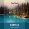 A Stillness in the Woods - Osin Wood lyrics