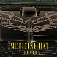 Huntin' For Fun — Medicine Hat