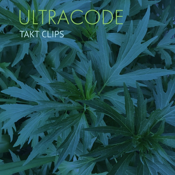Takt Clips - Single