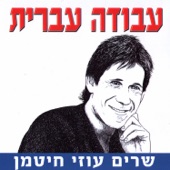 אהבנו artwork