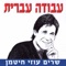 אהבנו artwork