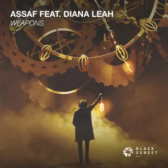 Weapons (feat. Diana Leah) - Single by Assaf album reviews, ratings, credits